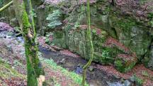  Blick auf den Eselsteiggrabenbach 